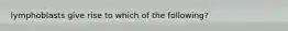 lymphoblasts give rise to which of the following?