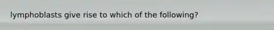 lymphoblasts give rise to which of the following?