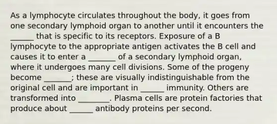 As a lymphocyte circulates throughout the body, it goes from one secondary lymphoid organ to another until it encounters the ______ that is specific to its receptors. Exposure of a B lymphocyte to the appropriate antigen activates the B cell and causes it to enter a _______ of a secondary lymphoid organ, where it undergoes many cell divisions. Some of the progeny become _______; these are visually indistinguishable from the original cell and are important in ______ immunity. Others are transformed into ________. Plasma cells are protein factories that produce about ______ antibody proteins per second.