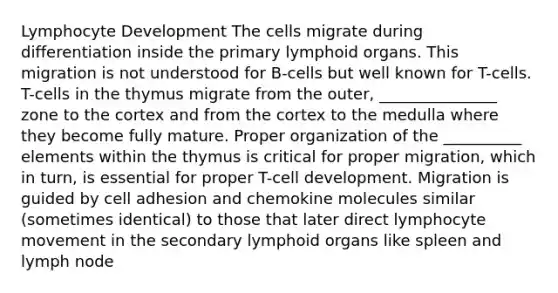 Lymphocyte Development The cells migrate during differentiation inside the primary lymphoid organs. This migration is not understood for B-cells but well known for T-cells. T-cells in the thymus migrate from the outer, _______________ zone to the cortex and from the cortex to the medulla where they become fully mature. Proper organization of the __________ elements within the thymus is critical for proper migration, which in turn, is essential for proper T-cell development. Migration is guided by cell adhesion and chemokine molecules similar (sometimes identical) to those that later direct lymphocyte movement in the secondary lymphoid organs like spleen and lymph node