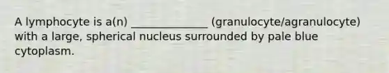 A lymphocyte is a(n) ______________ (granulocyte/agranulocyte) with a large, spherical nucleus surrounded by pale blue cytoplasm.