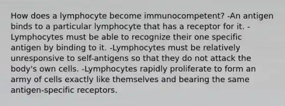 How does a lymphocyte become immunocompetent? -An antigen binds to a particular lymphocyte that has a receptor for it. -Lymphocytes must be able to recognize their one specific antigen by binding to it. -Lymphocytes must be relatively unresponsive to self-antigens so that they do not attack the body's own cells. -Lymphocytes rapidly proliferate to form an army of cells exactly like themselves and bearing the same antigen-specific receptors.