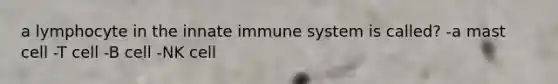 a lymphocyte in the innate immune system is called? -a mast cell -T cell -B cell -NK cell