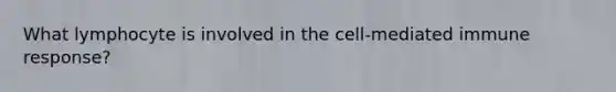What lymphocyte is involved in the cell-mediated immune response?