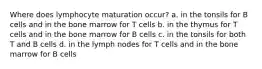 Where does lymphocyte maturation occur? a. in the tonsils for B cells and in the bone marrow for T cells b. in the thymus for T cells and in the bone marrow for B cells c. in the tonsils for both T and B cells d. in the lymph nodes for T cells and in the bone marrow for B cells