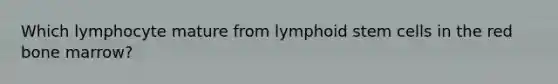 Which lymphocyte mature from lymphoid stem cells in the red bone marrow?