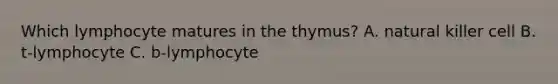 Which lymphocyte matures in the thymus? A. natural killer cell B. t-lymphocyte C. b-lymphocyte