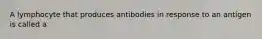 A lymphocyte that produces antibodies in response to an antigen is called a