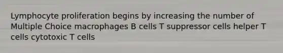 Lymphocyte proliferation begins by increasing the number of Multiple Choice macrophages B cells T suppressor cells helper T cells cytotoxic T cells