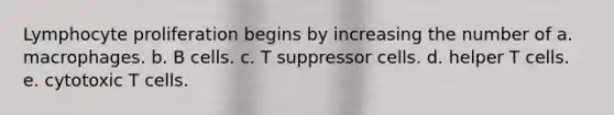 Lymphocyte proliferation begins by increasing the number of a. macrophages. b. B cells. c. T suppressor cells. d. helper T cells. e. cytotoxic T cells.