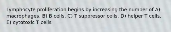 Lymphocyte proliferation begins by increasing the number of A) macrophages. B) B cells. C) T suppressor cells. D) helper T cells. E) cytotoxic T cells