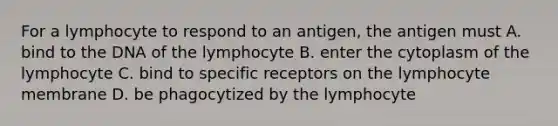 For a lymphocyte to respond to an antigen, the antigen must A. bind to the DNA of the lymphocyte B. enter the cytoplasm of the lymphocyte C. bind to specific receptors on the lymphocyte membrane D. be phagocytized by the lymphocyte