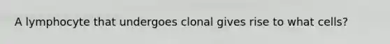 A lymphocyte that undergoes clonal gives rise to what cells?