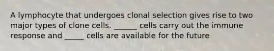 A lymphocyte that undergoes clonal selection gives rise to two major types of clone cells. ______ cells carry out the immune response and _____ cells are available for the future