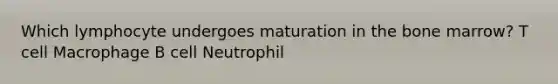 Which lymphocyte undergoes maturation in the bone marrow? T cell Macrophage B cell Neutrophil