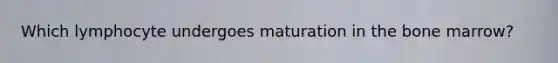 Which lymphocyte undergoes maturation in the bone marrow?