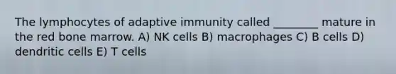 The lymphocytes of adaptive immunity called ________ mature in the red bone marrow. A) NK cells B) macrophages C) B cells D) dendritic cells E) T cells