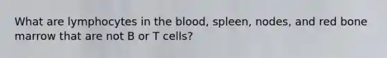 What are lymphocytes in the blood, spleen, nodes, and red bone marrow that are not B or T cells?