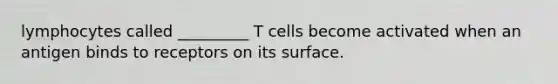 lymphocytes called _________ T cells become activated when an antigen binds to receptors on its surface.