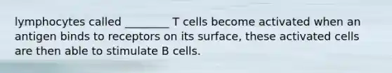 lymphocytes called ________ T cells become activated when an antigen binds to receptors on its surface, these activated cells are then able to stimulate B cells.