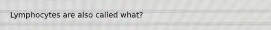 Lymphocytes are also called what?