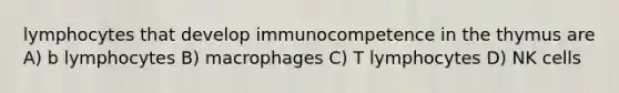 lymphocytes that develop immunocompetence in the thymus are A) b lymphocytes B) macrophages C) T lymphocytes D) NK cells