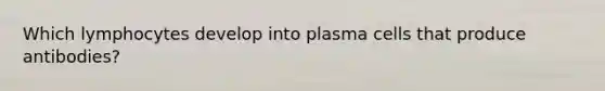 Which lymphocytes develop into plasma cells that produce antibodies?