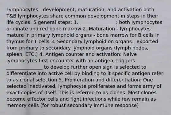 Lymphocytes - development, maturation, and activation both T&B lymphocytes share common development in steps in their life cycles. 5 general steps: 1. _______________: both lymphocytes originate and red bone marrow 2. Maturation - lymphocytes mature in primary lymphoid organs - bone marrow for B cells in thymus for T cells 3. Secondary lymphoid on organs - exported from primary to secondary lymphoid organs (lymph nodes, spleen, ETC.) 4. Antigen counter and activation: Naive lymphocytes first encounter with an antigen, triggers _______________ to develop further open sign is selected to differentiate into active cell by binding to it specific antigen refer to as clonal selection 5. Proliferation and differentiation: One selected inactivated, lymphocyte proliferates and forms army of exact copies of itself. This is referred to as clones. Most clones become effector cells and fight infections while few remain as memory cells (for robust secondary immune response)