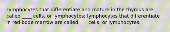 Lymphocytes that differentiate and mature in the thymus are called ____ cells, or lymphocytes; lymphocytes that differentiate in red bode marrow are called ___ cells, or lymphocytes.