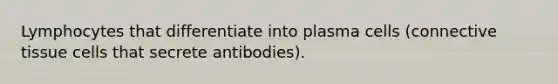 Lymphocytes that differentiate into plasma cells (connective tissue cells that secrete antibodies).