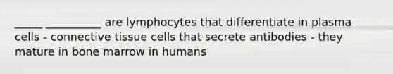 _____ __________ are lymphocytes that differentiate in plasma cells - <a href='https://www.questionai.com/knowledge/kYDr0DHyc8-connective-tissue' class='anchor-knowledge'>connective tissue</a> cells that secrete antibodies - they mature in bone marrow in humans