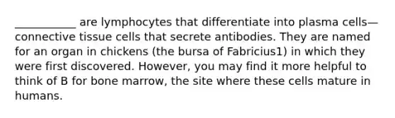 ___________ are lymphocytes that differentiate into plasma cells—connective tissue cells that secrete antibodies. They are named for an organ in chickens (the bursa of Fabricius1) in which they were first discovered. However, you may find it more helpful to think of B for bone marrow, the site where these cells mature in humans.