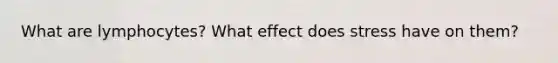 What are lymphocytes? What effect does stress have on them?