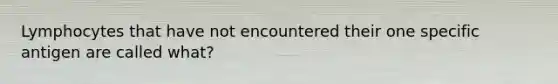 Lymphocytes that have not encountered their one specific antigen are called what?