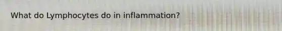 What do Lymphocytes do in inflammation?