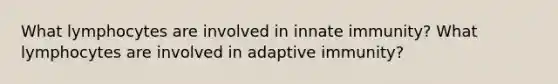 What lymphocytes are involved in innate immunity? What lymphocytes are involved in adaptive immunity?