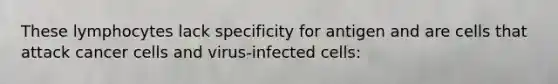 These lymphocytes lack specificity for antigen and are cells that attack cancer cells and virus-infected cells: