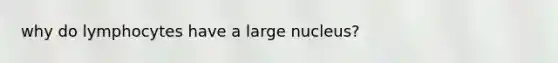 why do lymphocytes have a large nucleus?