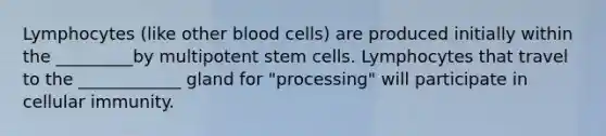 Lymphocytes (like other blood cells) are produced initially within the _________by multipotent stem cells. Lymphocytes that travel to the ____________ gland for "processing" will participate in cellular immunity.