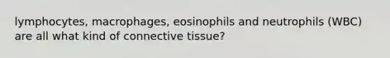 lymphocytes, macrophages, eosinophils and neutrophils (WBC) are all what kind of connective tissue?