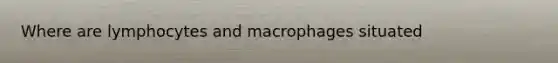 Where are lymphocytes and macrophages situated