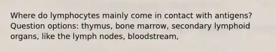 Where do lymphocytes mainly come in contact with antigens? Question options: thymus, bone marrow, secondary lymphoid organs, like the lymph nodes, bloodstream,