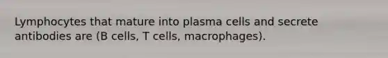 Lymphocytes that mature into plasma cells and secrete antibodies are (B cells, T cells, macrophages).