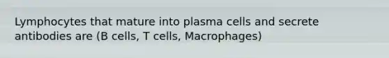 Lymphocytes that mature into plasma cells and secrete antibodies are (B cells, T cells, Macrophages)