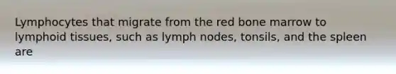 Lymphocytes that migrate from the red bone marrow to lymphoid tissues, such as lymph nodes, tonsils, and the spleen are