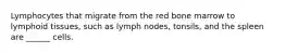 Lymphocytes that migrate from the red bone marrow to lymphoid tissues, such as lymph nodes, tonsils, and the spleen are ______ cells.