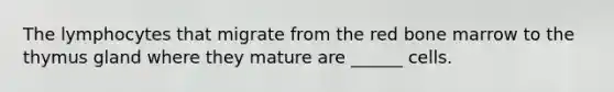 The lymphocytes that migrate from the red bone marrow to the thymus gland where they mature are ______ cells.