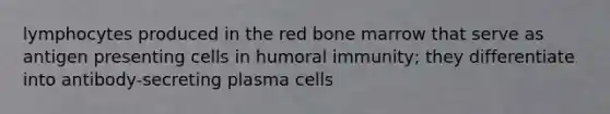 lymphocytes produced in the red bone marrow that serve as antigen presenting cells in humoral immunity; they differentiate into antibody-secreting plasma cells