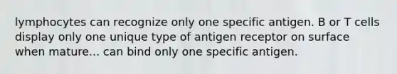 lymphocytes can recognize only one specific antigen. B or T cells display only one unique type of antigen receptor on surface when mature... can bind only one specific antigen.