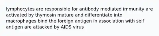 lymphocytes are responsible for antibody mediated immunity are activated by thymosin mature and differentiate into macrophages bind the foreign antigen in association with self antigen are attacked by AIDS virus